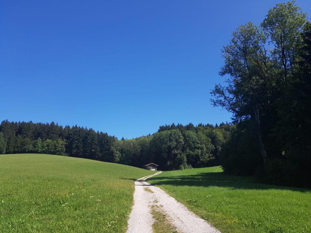 Ferienhaus Chiemgauer Auszeit- Chiemgaukarte Inclusive Siegsdorf Extérieur photo
