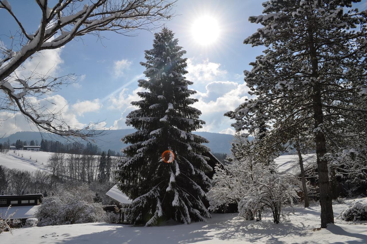 Ferienhaus Chiemgauer Auszeit- Chiemgaukarte Inclusive Siegsdorf Extérieur photo
