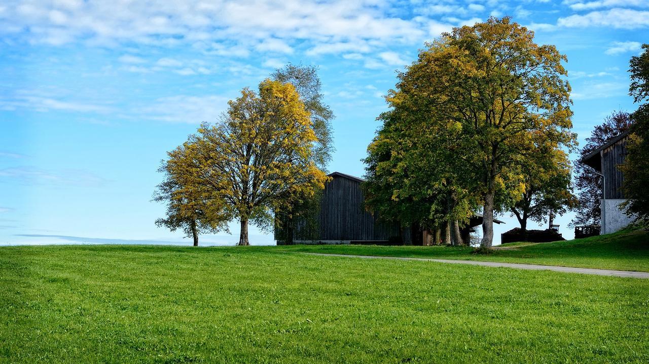 Ferienhaus Chiemgauer Auszeit- Chiemgaukarte Inclusive Siegsdorf Extérieur photo
